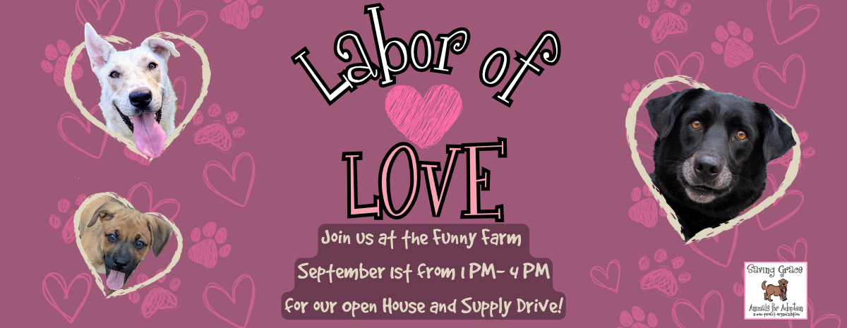 Labor of Love Open House and Supply Drive September 1st, 2025 1pm-4pm